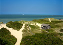 Nantucket Dunes